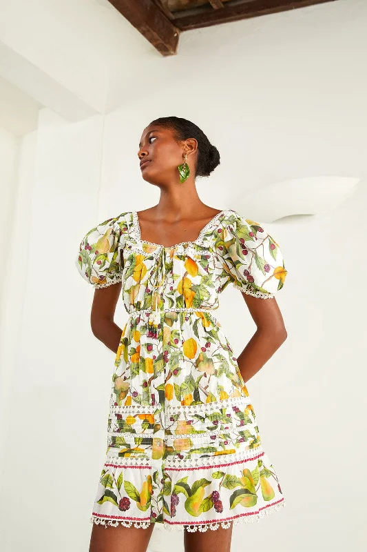 Floral print mini dresses for summer partiesOff-white Fruit Orchard Mini Dress