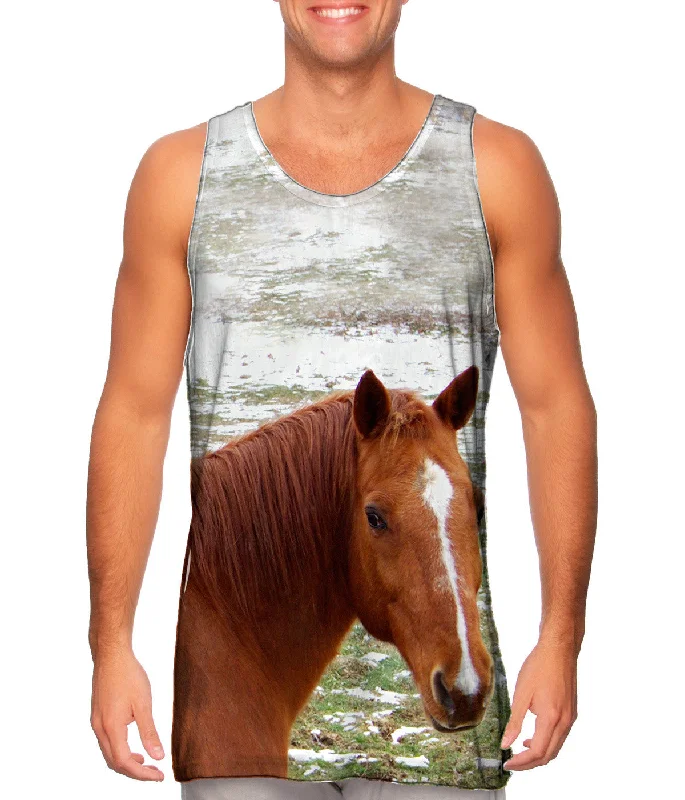 Women's Button - Down Tank Tops in Striped PatternsHorse Looking Back